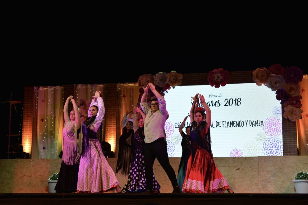 Flamenco show