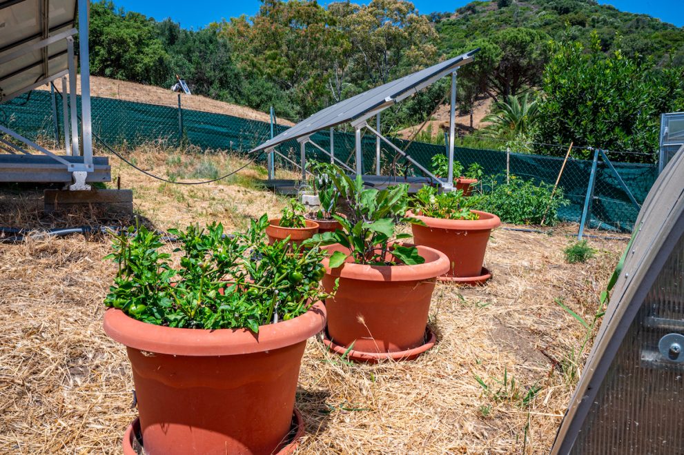 Finca in Casares