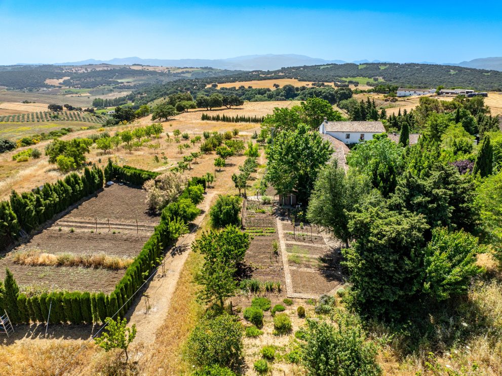 Andalusian Cortijo for farming