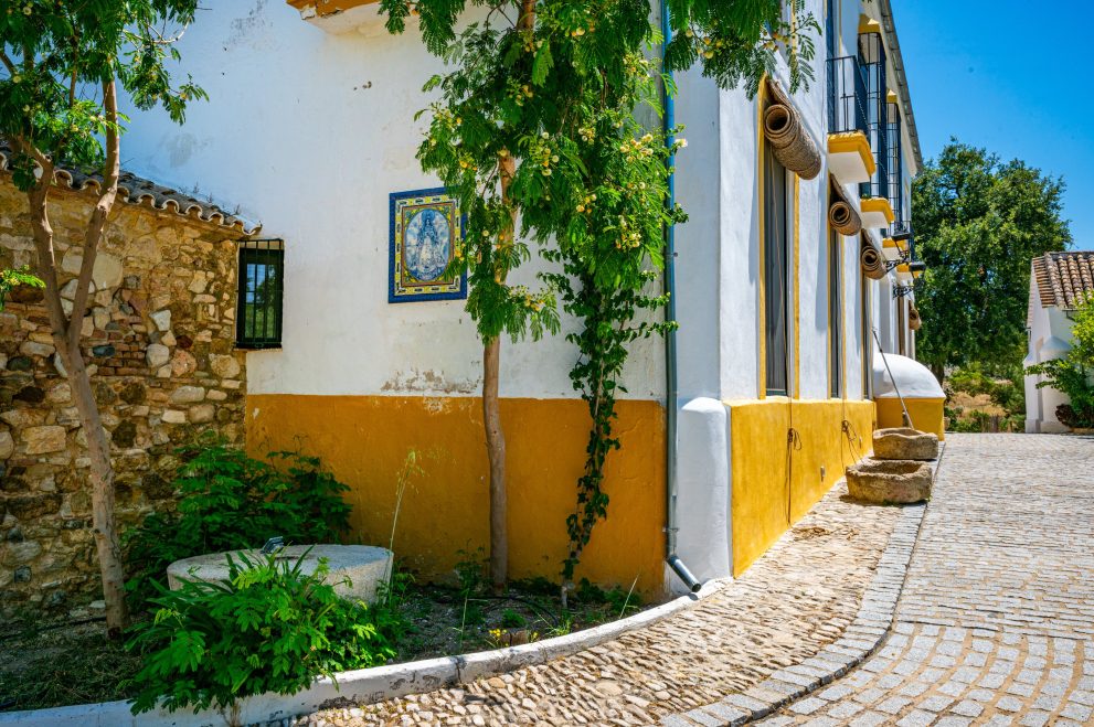 Andalusian lifestyle