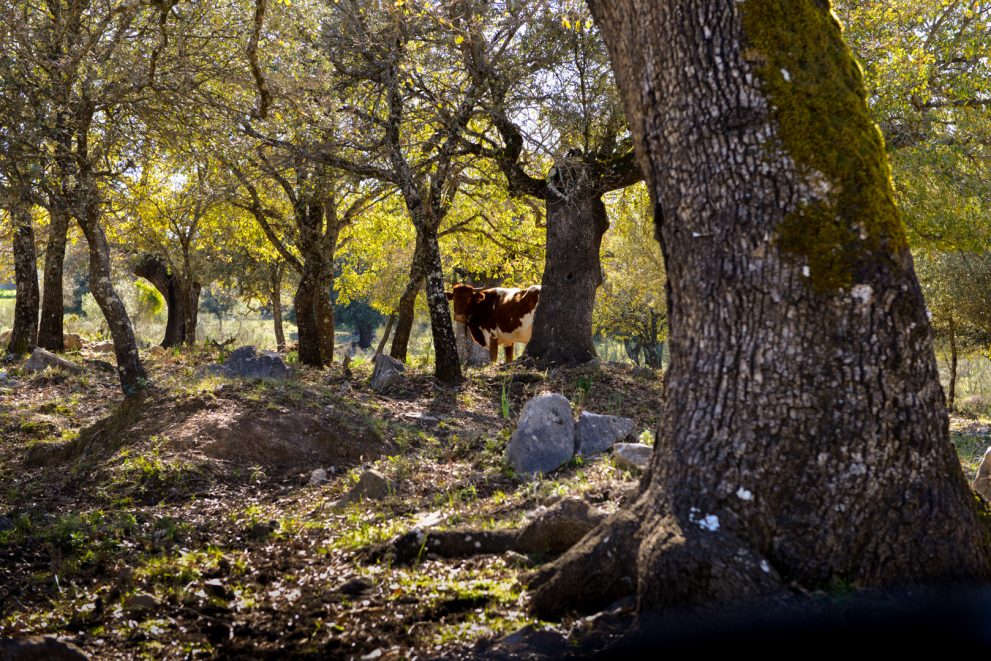 Andalusia in Autumn