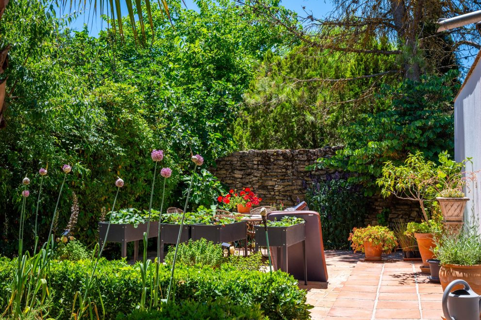 Authentic Cortijo Andalusia